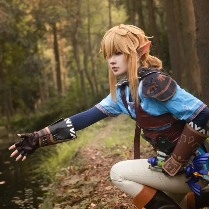 Game Zelda Breath of The Wild  - Zelda Party Games review and price